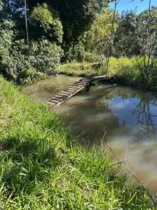 Fazenda/Sítio à venda, 20000m² no Nova Pirajuí, Pirajuí