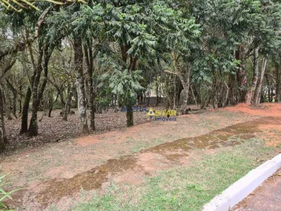 Lote/Terreno à venda, 1575m² no Vila de São Fernando, Cotia