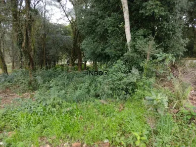 Lote/Terreno à venda, 1036m² no Santo Antão, Bento Gonçalves