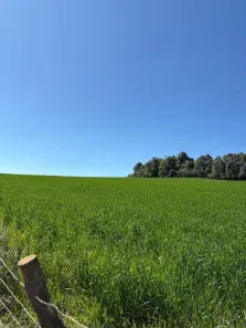 Fazenda/Sítio à venda, 240000m² no , Zortéa