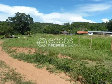 Fazenda/Sítio com 3 Quartos à venda, 155000m² no , Cascalho Rico