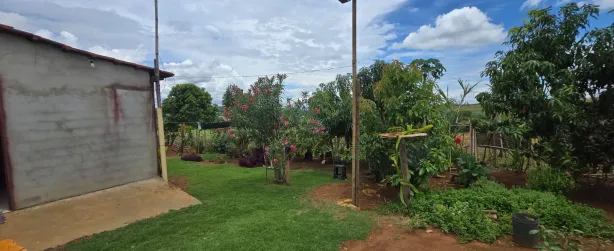 Fazenda/Sítio com 3 Quartos à venda, 2500m² no , Bonfinópolis