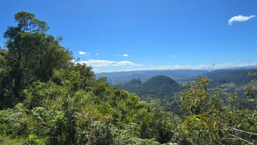 Fazenda/Sítio à venda, 79m² no , Rio Rufino