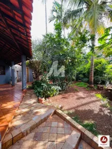 Imóvel Comercial com 3 Quartos à venda, 214m² no Residencial e Comercial Palmares, Ribeirão Preto