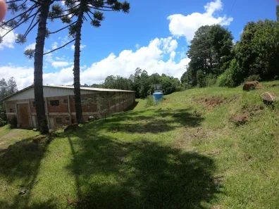 Galpão/Depósito/Armazém à venda, 2340m² no Carazal, Gramado