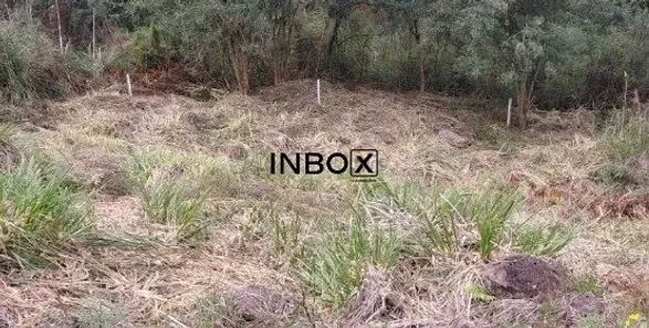Lote/Terreno à venda, 264m² no Fátima, Bento Gonçalves