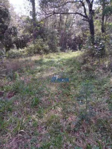 Lote/Terreno à venda, 216680m² no Vila São Tiago, Piraquara