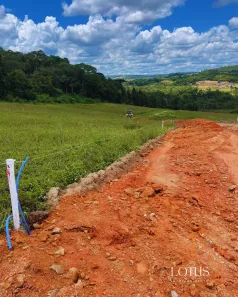 Lote/Terreno à venda, 500m² no Centro (Caucaia do Alto), Cotia
