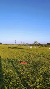 Fazenda/Sítio com 3 Quartos à venda, 300m² no Área Rural de Fernandópolis, Fernandópolis