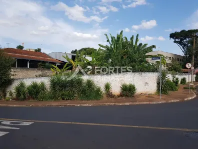 Imóvel Comercial para alugar, 1000m² no Vila Virgínia, Ribeirão Preto