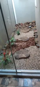 Casa com 3 Quartos à venda, 150m² no Santa Paula, Ibiporã