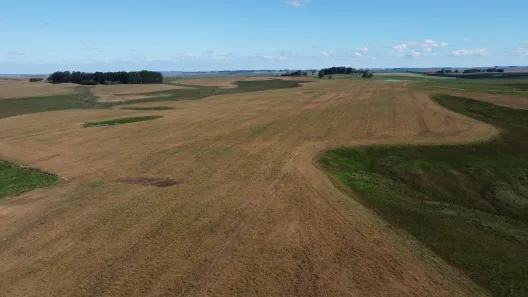 Fazenda/Sítio à venda, 2500000m² no Centro, Santa Maria