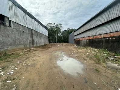 Lote/Terreno à venda, 450m² no Novo Aleixo, Manaus