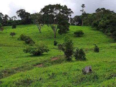 Fazenda/Sítio com 1 Quarto à venda, 105996m² no , Terezópolis de Goiás