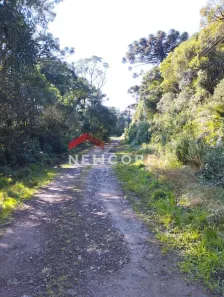 Lote/Terreno à venda, 400m² no Centro, São Francisco de Paula