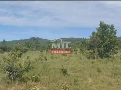 Fazenda/Sítio à venda, 1m² no Jardim Piauí, Araguapaz