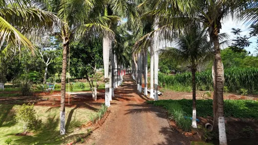 Fazenda/Sítio com 3 Quartos à venda, 10m² no Jataizinho, Jataizinho