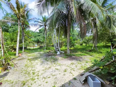 Fazenda/Sítio com 2 Quartos à venda, 6200m² no Tarumã-Açu, Manaus