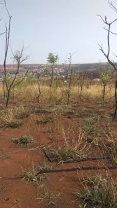 à venda, 1500m² no , DUMONT