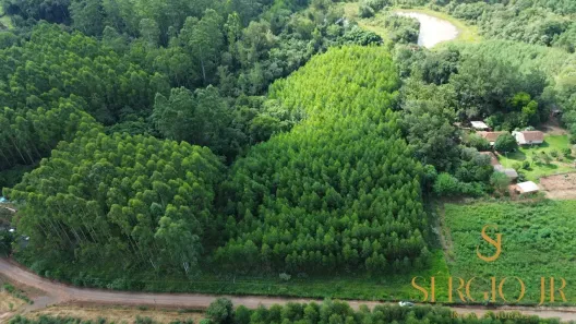 Fazenda/Sítio à venda, 82000m² no , Triunfo