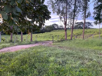 Fazenda/Sítio à venda, 217800m² no , Mara Rosa