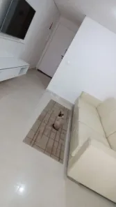 Apartamento com 3 Quartos à venda, 87m² no Vila Mariana, São Paulo