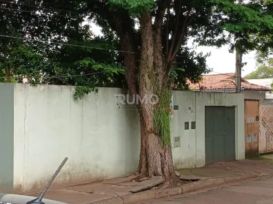 Lote/Terreno para alugar, 377m² no Jardim Brasil, Campinas