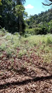 Lote/Terreno à venda, 930000m² no , Marechal Floriano