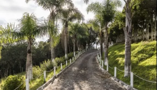 Fazenda/Sítio com 3 Quartos à venda, 36300m² no Roça Velha, São José dos Pinhais