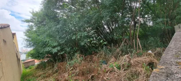 Lote/Terreno à venda, 471m² no Jardim Paraíso, Campinas