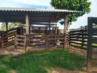 Fazenda/Sítio com 3 Quartos à venda, 47m² no , Ipameri