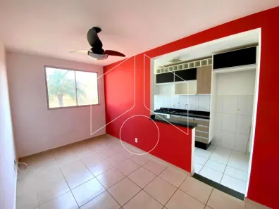 Apartamento com 2 Quartos à venda, 48m² no Higienópolis, Marília