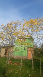 Fazenda/Sítio à venda, 170000m² no , Arroio dos Ratos