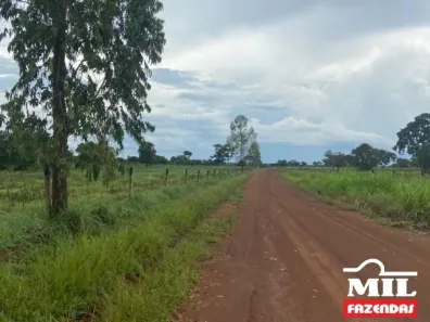 Fazenda/Sítio à venda, 500m² no Área Rural de Palmas, Palmas