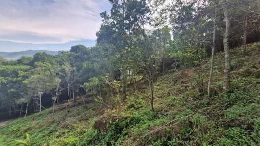 Lote/Terreno à venda, 1223m² no , Garopaba