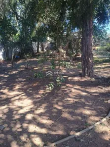 Lote/Terreno à venda, 1000m² no Jardim São Luiz (Caucaia do Alto), Cotia