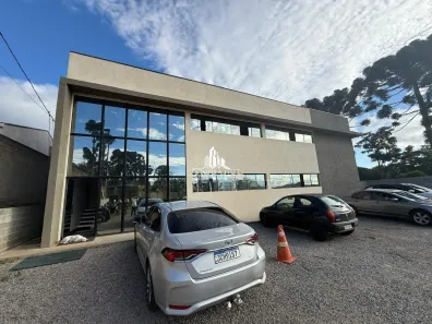 Imóvel Comercial para alugar, 5000m² no Jardim NESITA, Campina Grande do Sul