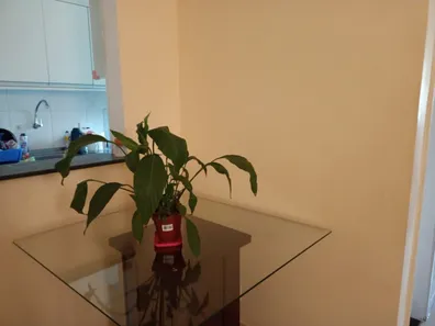 Apartamento com 2 Quartos à venda, 50m² no Parque Munhoz, São Paulo