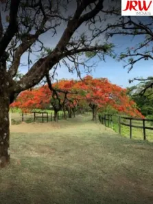 Lote/Terreno à venda, 605m² no Vila Inglesa, Indaiatuba