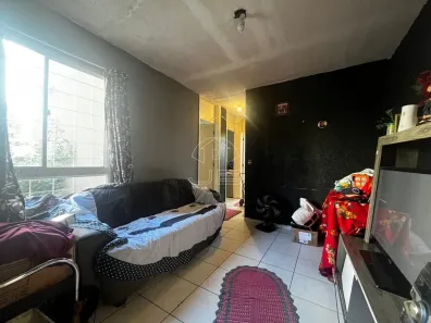 Apartamento com 2 Quartos à venda, 47m² no Parque Yolanda (Nova Veneza), Sumaré