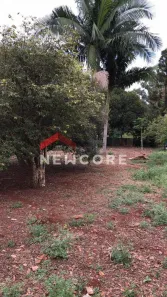 Fazenda/Sítio com 1 Quarto à venda, 4000m² no Parque Nacional, Londrina
