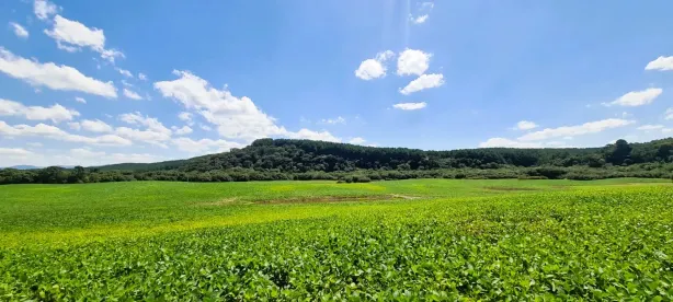 Fazenda/Sítio com 4 Quartos à venda, 640000m² no , Bom Retiro