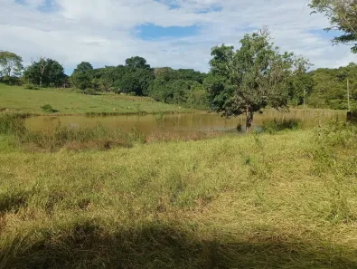 Fazenda/Sítio à venda, 80000m² no Jardim Lago Azul, Novo Gama