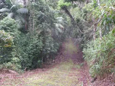 Lote/Terreno à venda, 2156m² no Prata, Teresópolis