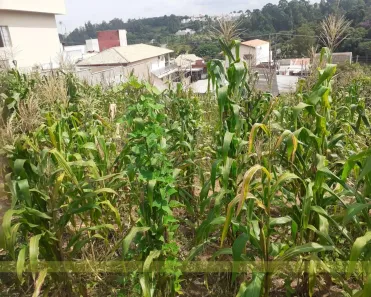 Lote/Terreno à venda, 250m² no Cidade Nova, Jundiaí
