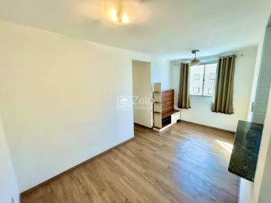 Apartamento com 3 Quartos à venda, 60m² no Jardim Nova Europa, Campinas