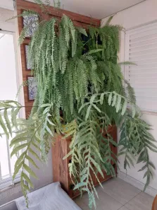 Apartamento com 3 Quartos à venda, 101m² no Quinta da Paineira, São Paulo