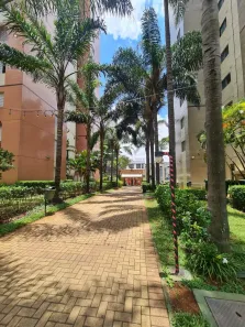 Apartamento com 3 Quartos à venda, 65m² no Cambuci, São Paulo
