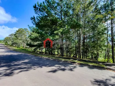 Lote/Terreno à venda, 2000m² no Santa Isabel, Viamão