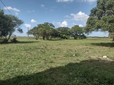 Fazenda/Sítio à venda, 1000000m² no Machadinha, Quissamã